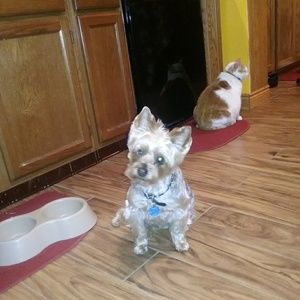 Meet your Posher, Tracy